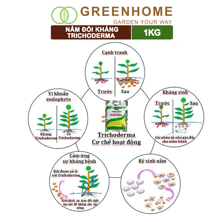 Phân vi sinh vật Trichoderma, bao 1kg ủ phân, ủ rác, đậu tương, tưới gốc |Greenhome