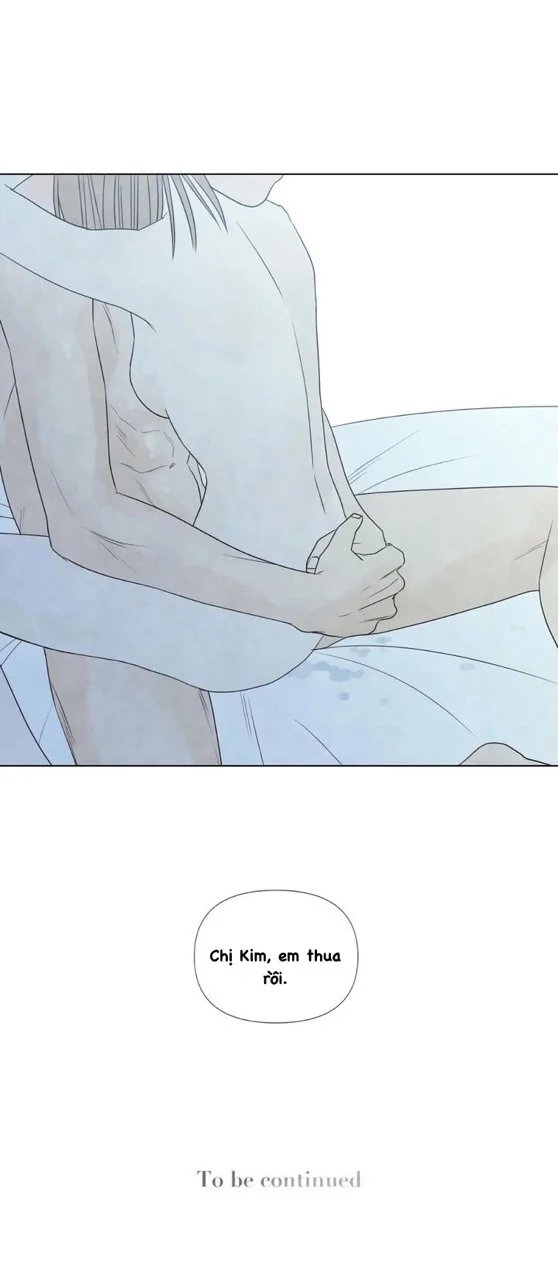 summer solstice point chapter 19 55