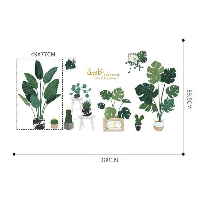 DECAL DÁN TƯỜNG PHONG CÁCH HÀN QUỐC NHIỆT ĐỚI Chậu cây xanh SIÊU TO NHẤT