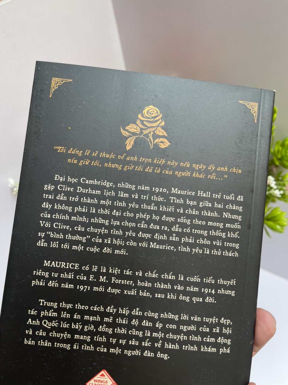 MAURICE - E. M. Forster – Jack Frogg dịch – Nxb Kim Đồng