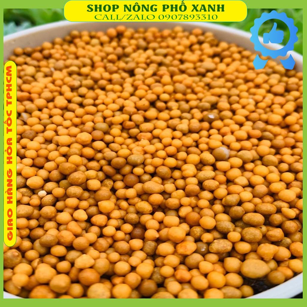 Phân tan chậm hạt vàng 14-14-14 Thái Lan túi 1kg dành cho bonsai, sen đá, cây cảnh, hoa lan