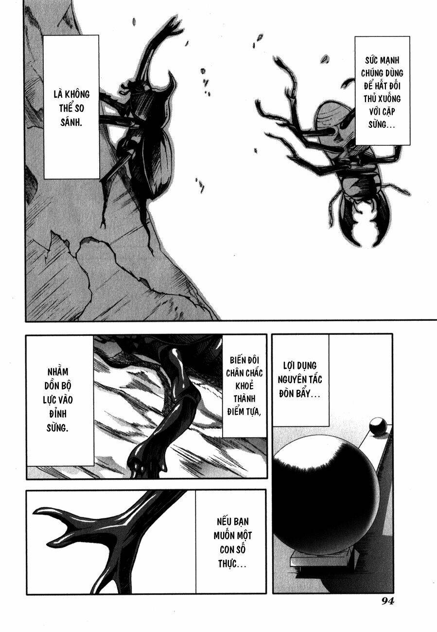 arachnid chapter 28 35
