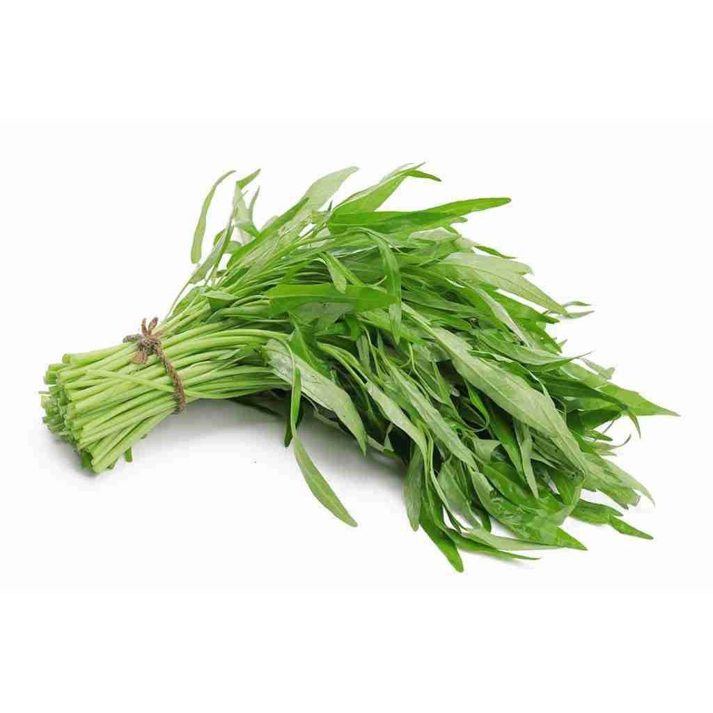 Hạt giống rau muống F1 loại dễ trồng năng suất cao kháng sâu bệnh