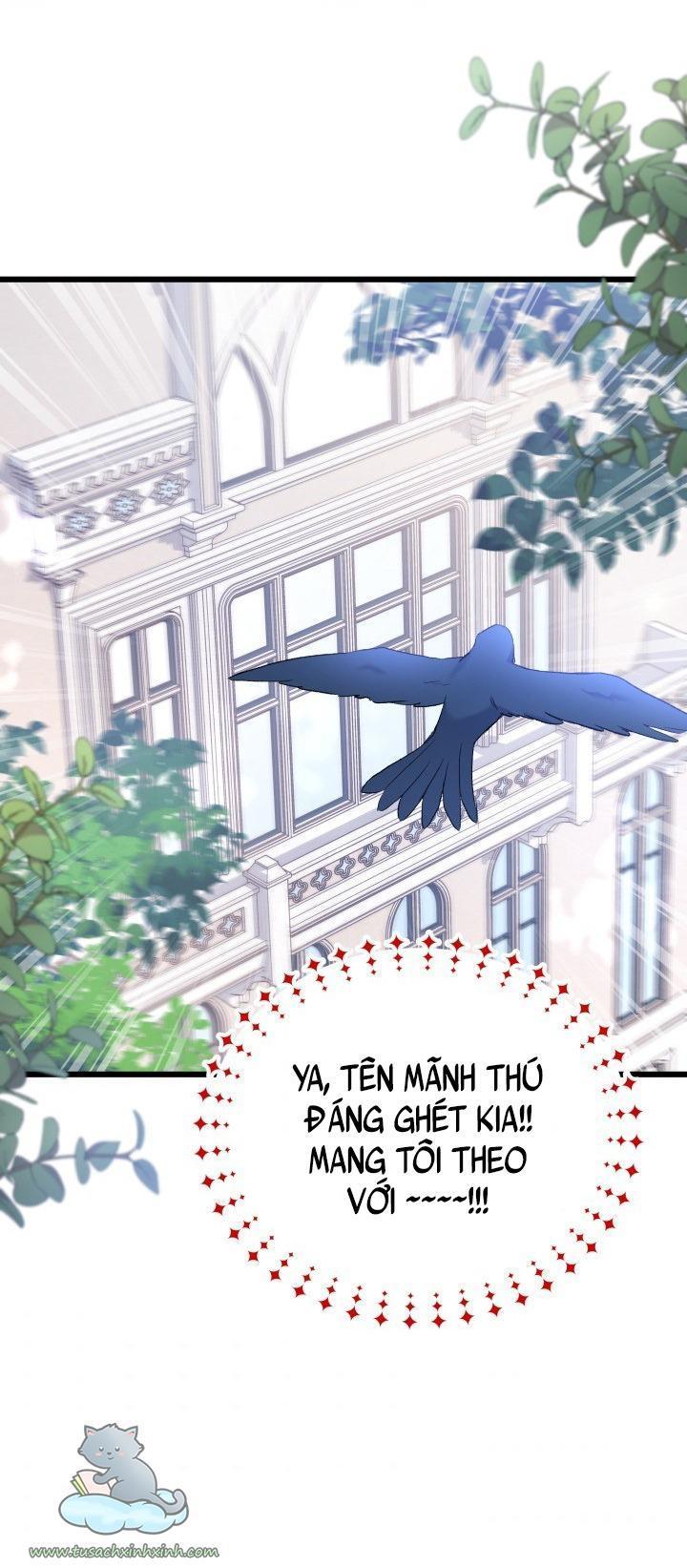 quan hệ cộng sinh giữa báo đen và thỏ trắng chapter 59 64