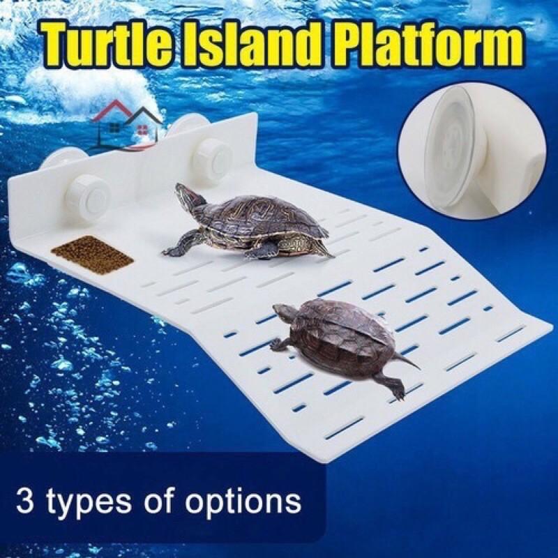 Bệ phơi nắng cho rùa - Máng đứng gắn thành bể cho rùa phơi nắng - Tấm nhựa cho rùa phơi nắng