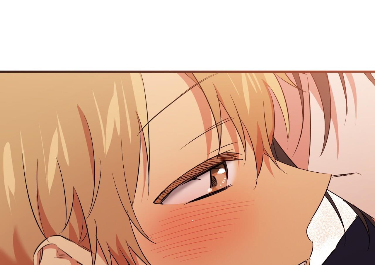 những chú thỏ của hapypy chapter 63 60