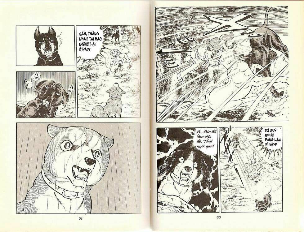 chú chó có nghĩa - ginga nagareboshi gin chapter 14 9