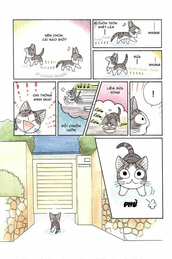 chi's sweet home chapter 90 5