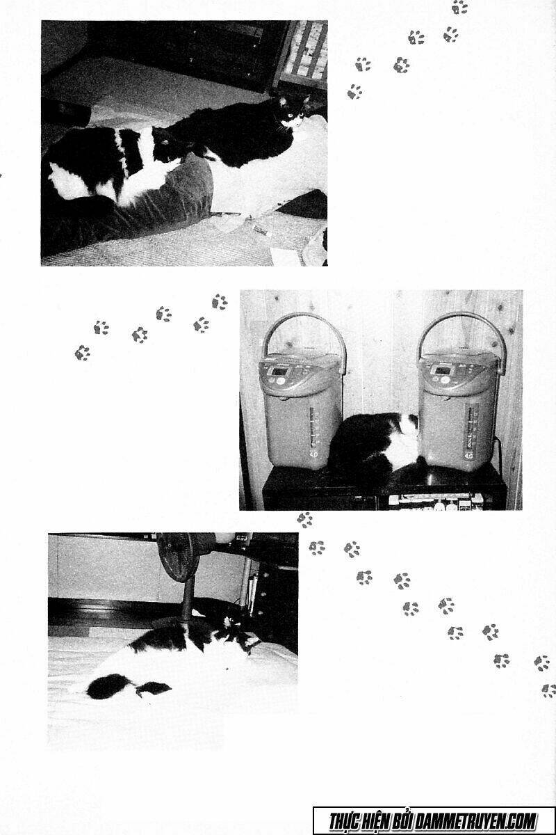 shin kotaro makaritoru! juudouhen chapter 215 13