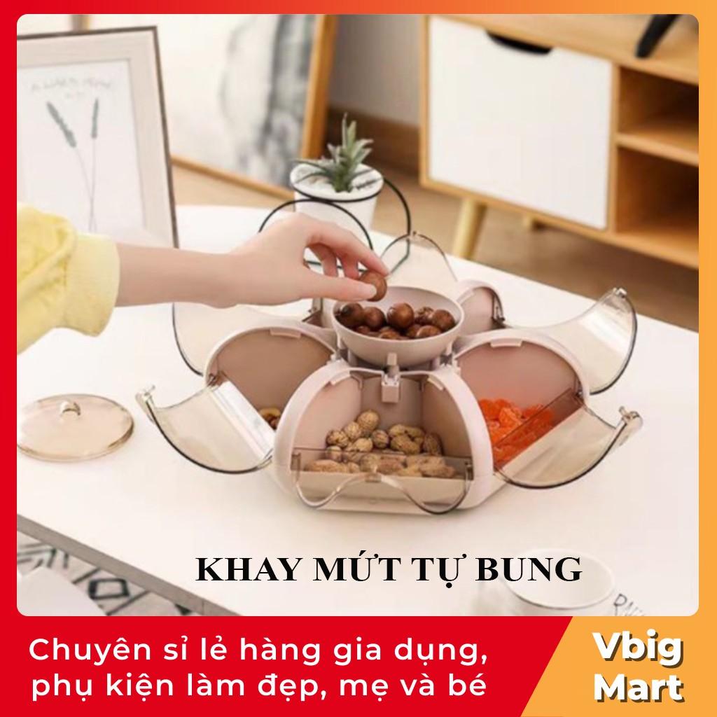 Khay hộp mứt tự bung đựng mứt, bánh kẹo, hạt khô đẳng cấp, lịch sự và sang trọng mẫu mới nhất tết 2021