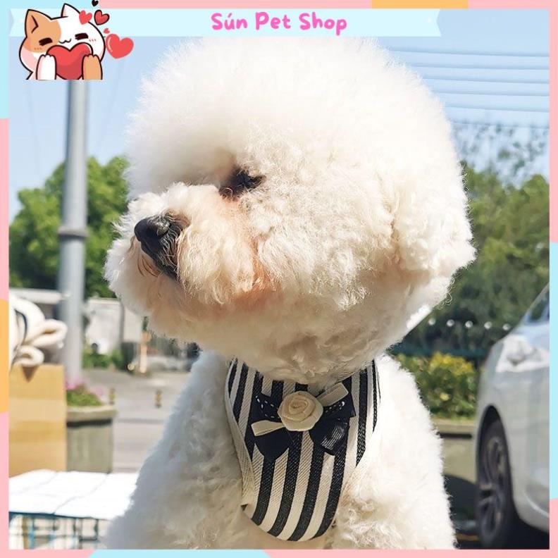 Dây dắt thú cưng kèm yếm