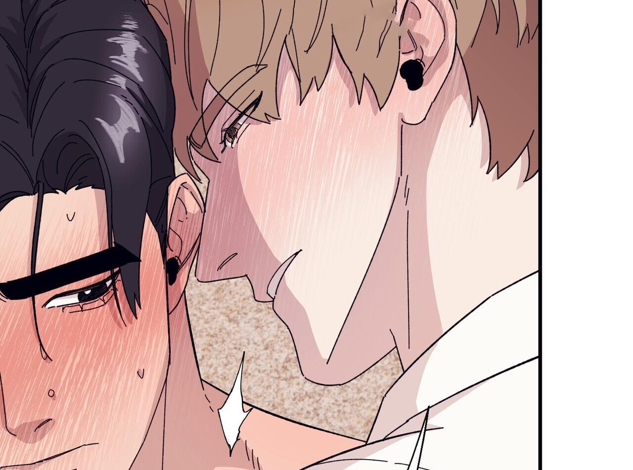 chàng dâu nhà họ kang chapter 44 53