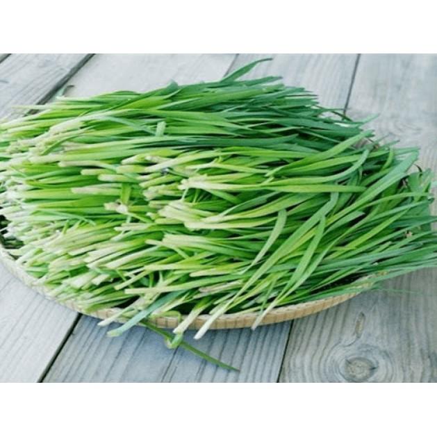 Hạt Giống Hẹ Cao Sản, Chất Lượng Cao 1gr