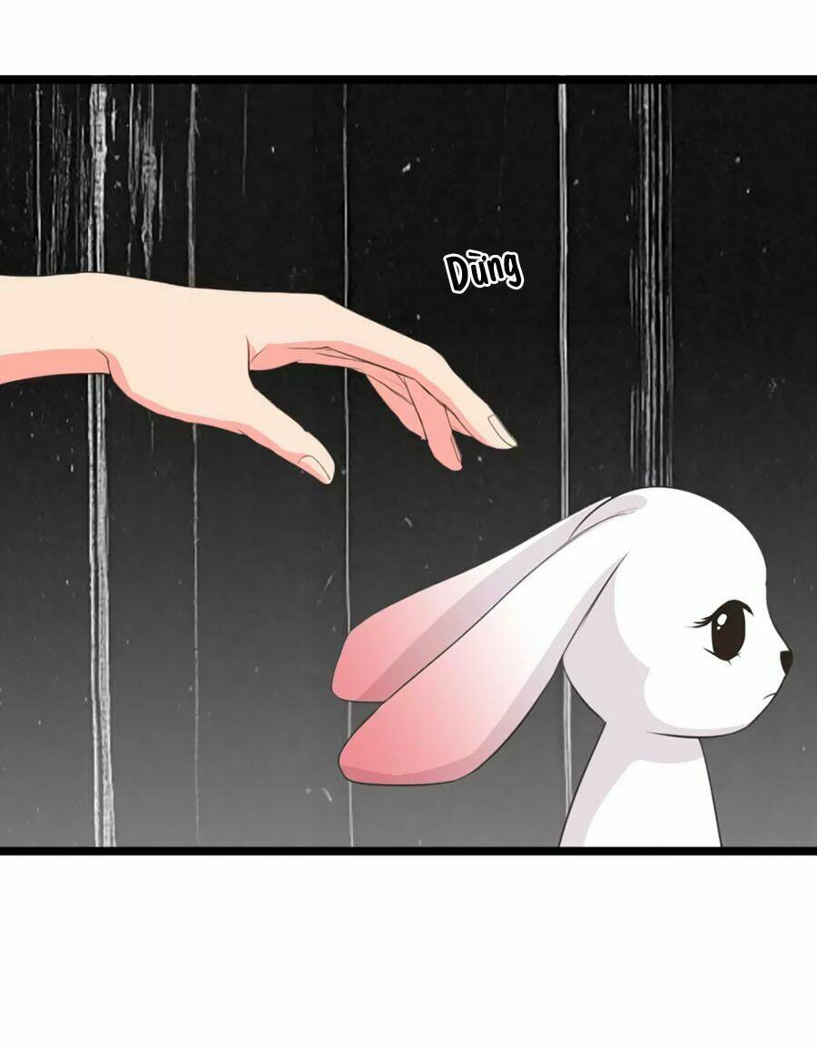 thỏ yêu tiểu vương phi chapter 91 12