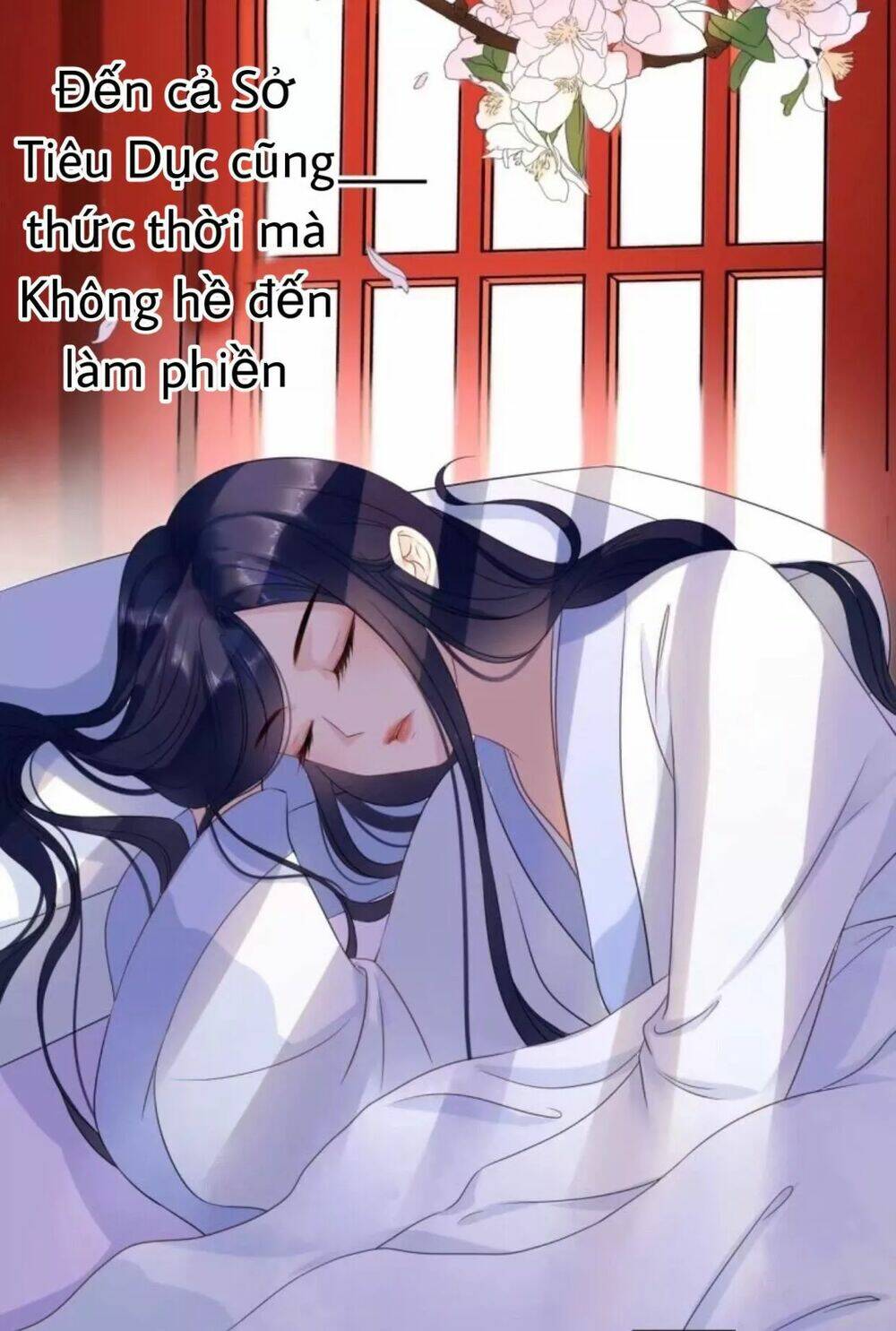 sủng phi của vương chapter 61 11