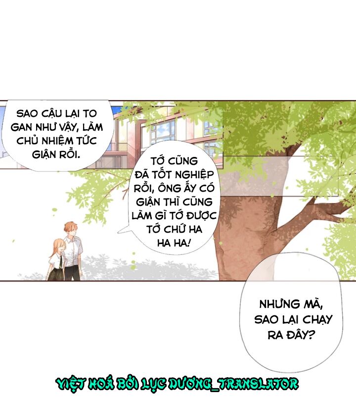 Tình yêu là màu hoa anh thảo chapter 36.2 32