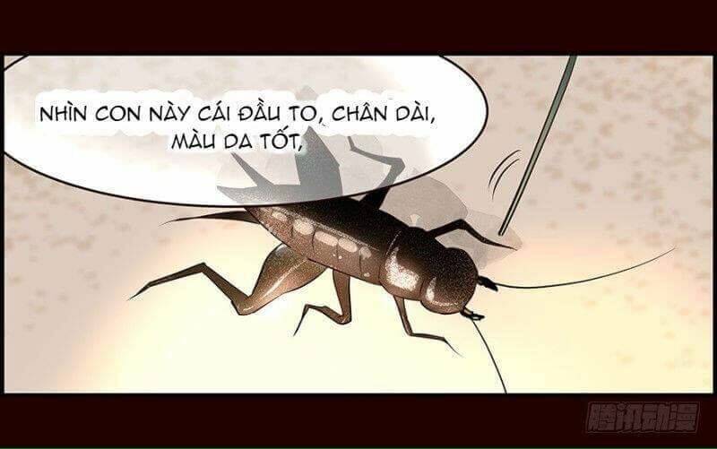 hoa phi hoa 2 chapter 1 28