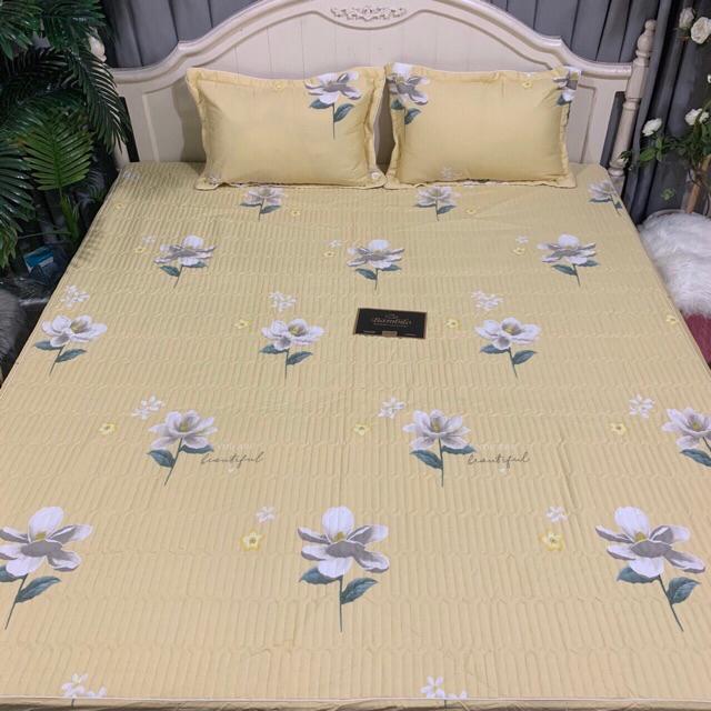 Ga chun trần cotton bambilo