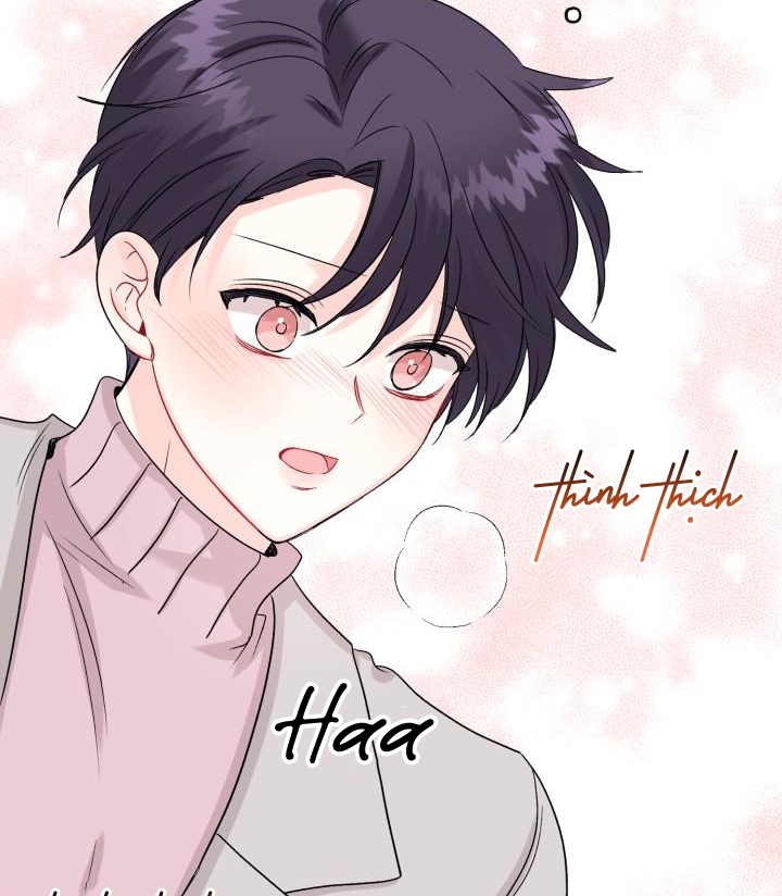 xác suất tình yêu chapter 61 73