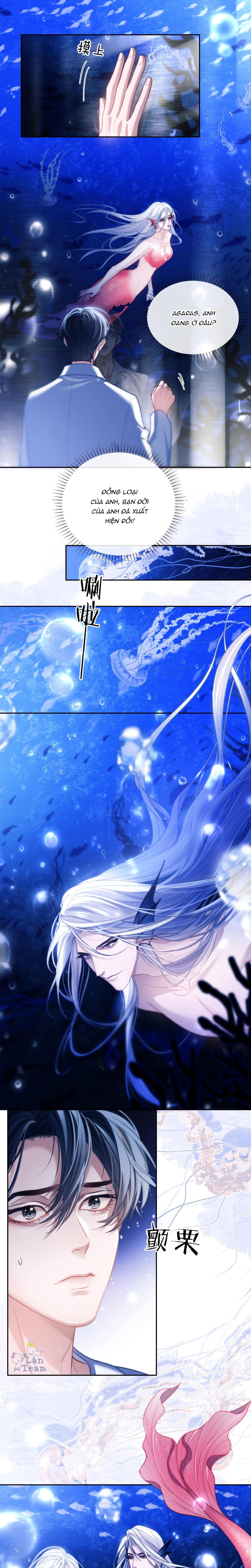 người cá desahrow chapter 12 7