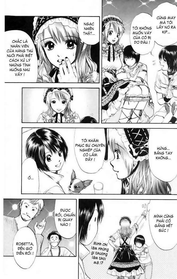 cô nàng yêu chó chapter 13 11