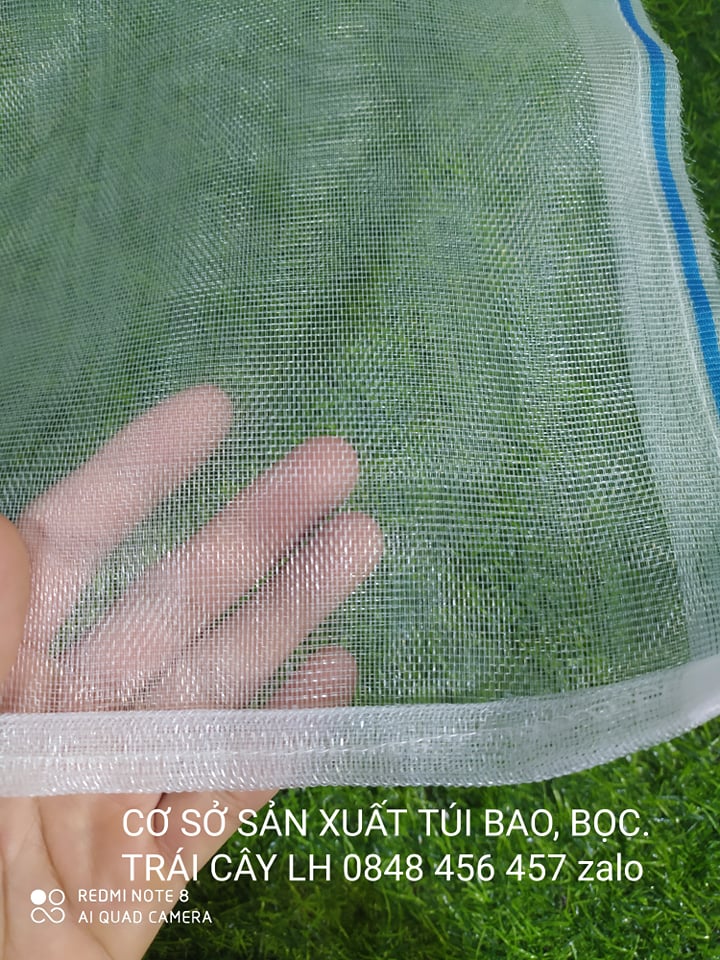 50 CÁI TÚI BAO,BỌC MÍT LƯỚI CƯỚC THÁI LOẠI TỐT 50*70 cm