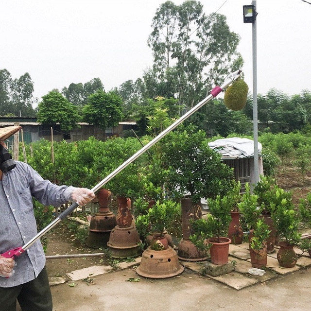 Kéo cắt cành hái hoa quả trên cao đa năng dài 3 mét