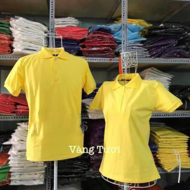 Áo đồng phục thun cá sấu _ AGD 624