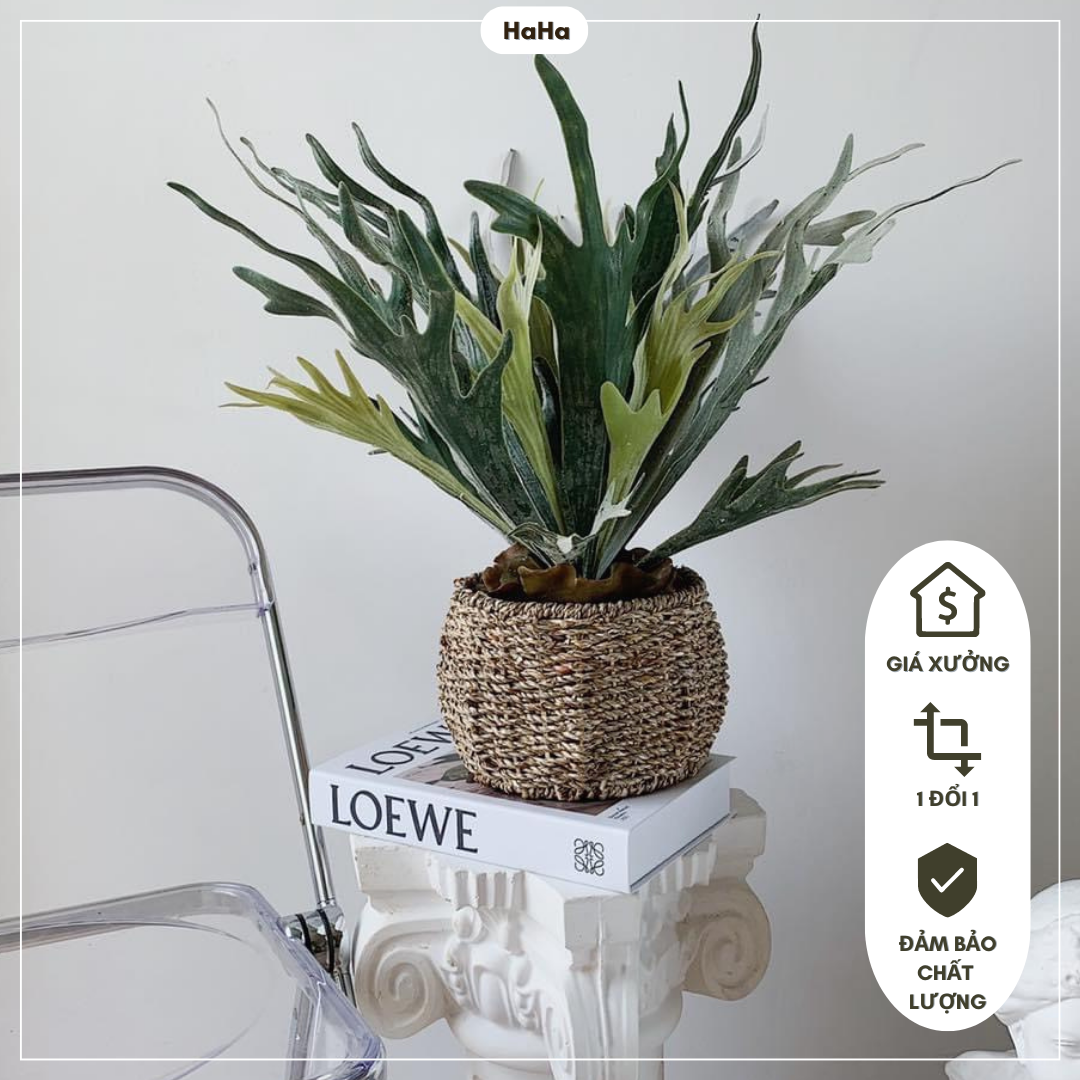 Giỏ cói trồng cây Chum cói cắm hoa decor cây cảnh Đường Kính 20cm GCD03-20CM