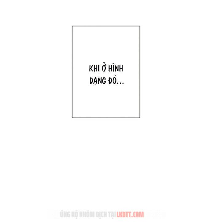 tôi đang nuôi dưỡng một con quái thú chapter 19 45