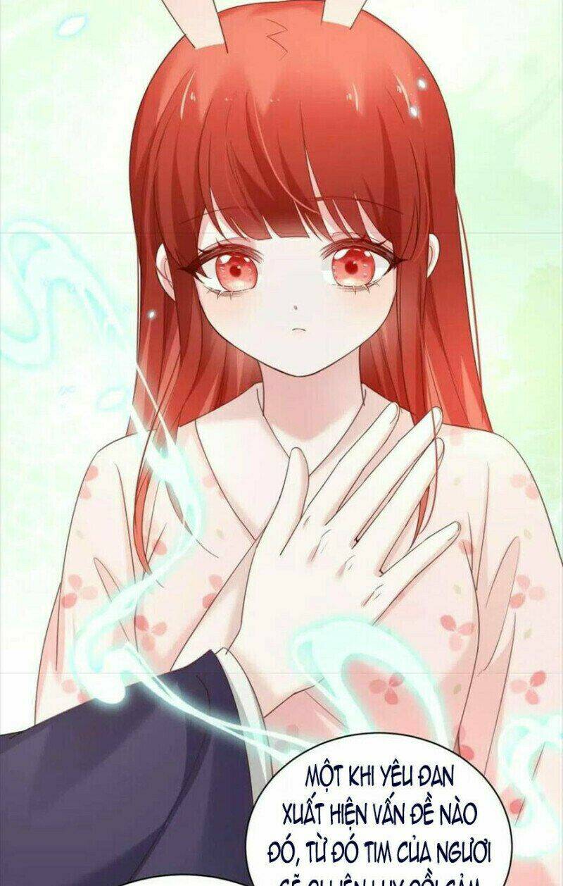 hắc hóa nam chính trực tuyến nuôi thỏ chapter 60 21