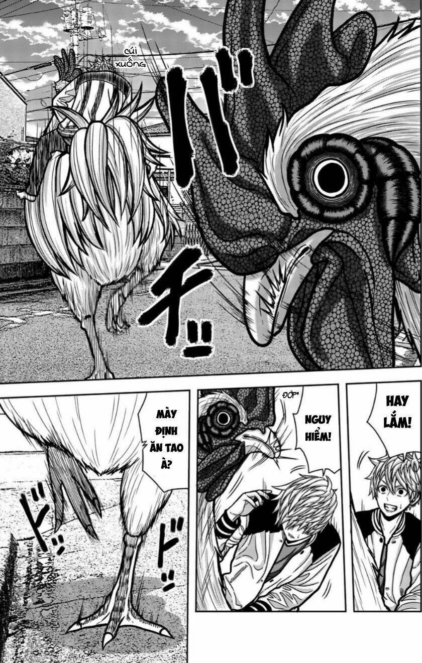 tiếng gáy sát thủ chapter 15 5