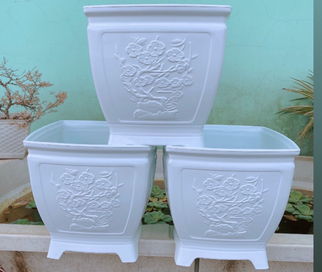 Chậu Nhựa Trồng Cây Bonsai, Chậu Kiểng Chơi Tết, Chậu Vuông Bầu Dáng Cao, Chậu 4 Chân Thoát Nước Tốt