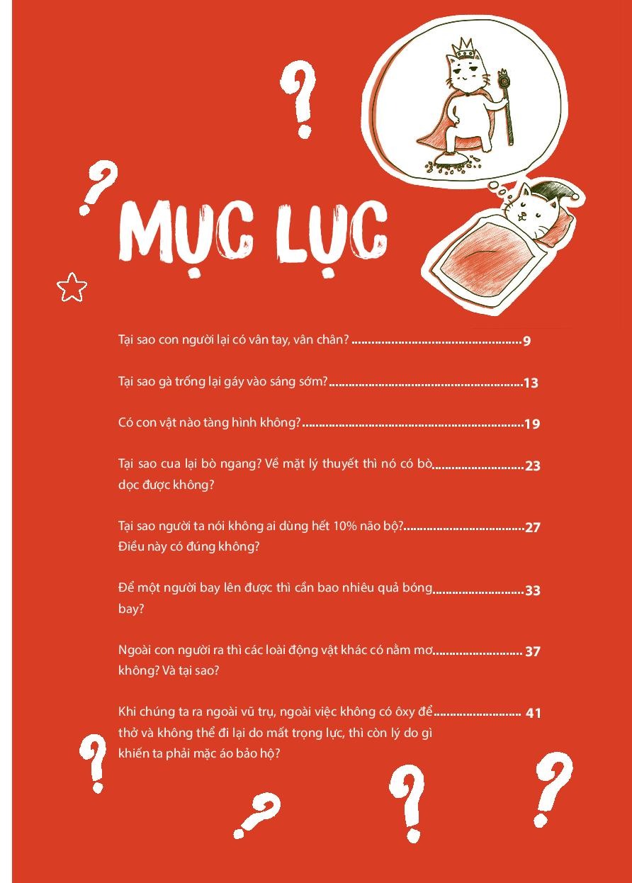 Không Có Câu Hỏi Nào Ngớ Ngẩn - Tập 2