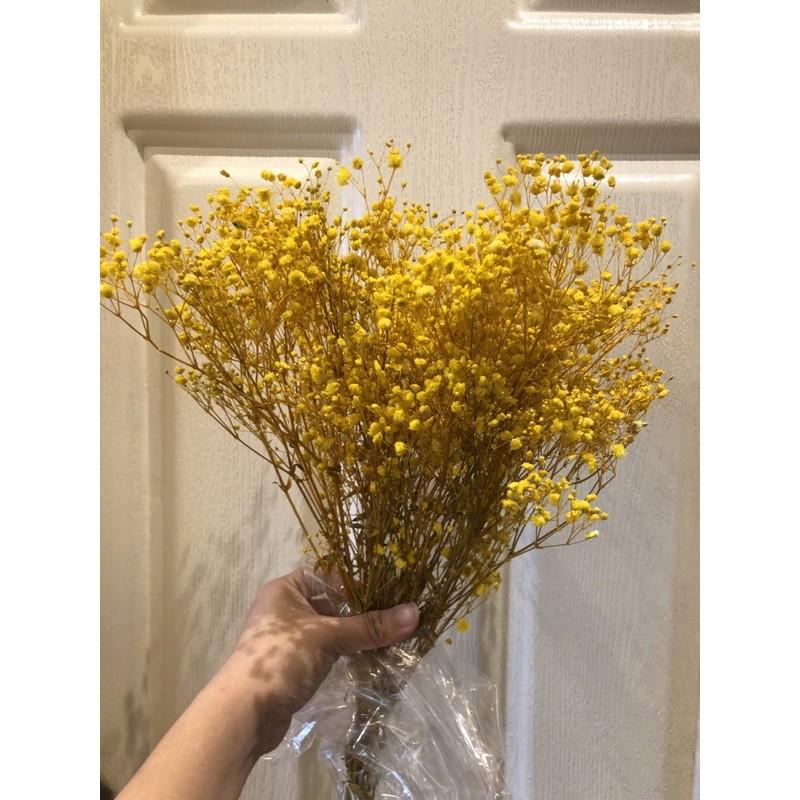 HOA BABY’s BREATH - Baby vĩnh cửu bó thô 120-130gr