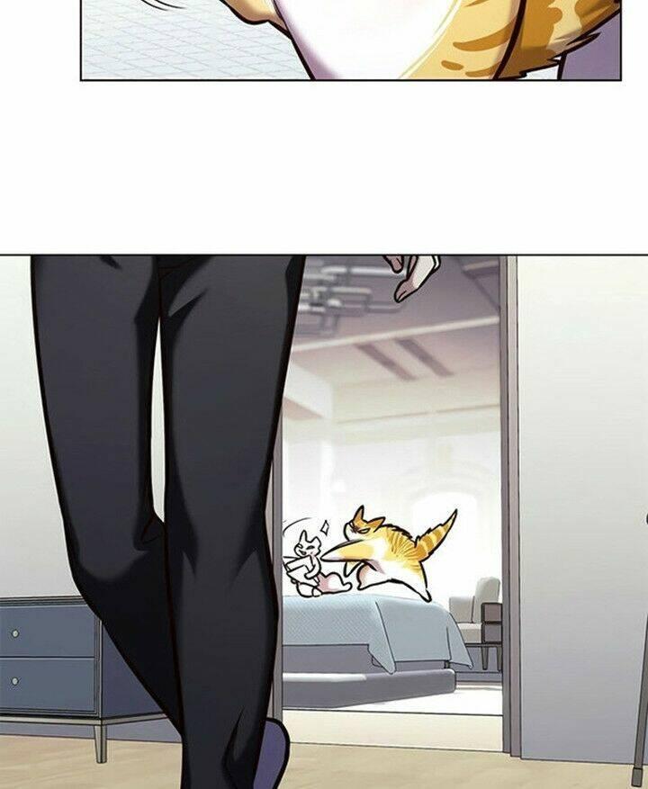 biến thân thành mèo chapter 200 26