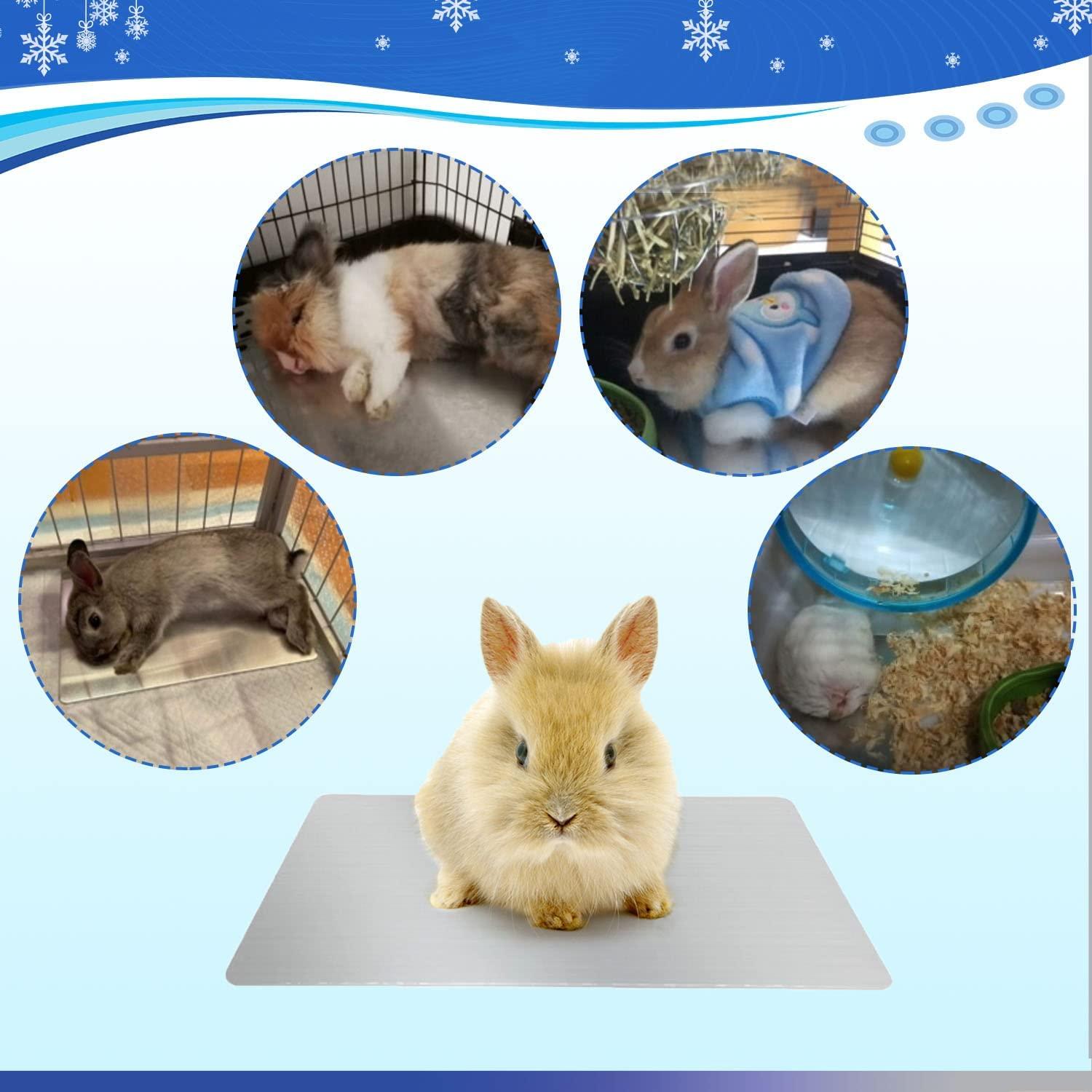 Tấm Làm Mát Rabbit, Tấm Làm Mát 30x20cm Cho Thỏ, Chuột Lang, Chinchilla, Hamster và Các Động Vật Nhỏ Khác Giữ Mát Trong Mùa Hè Này - Rabbit Cool Plate