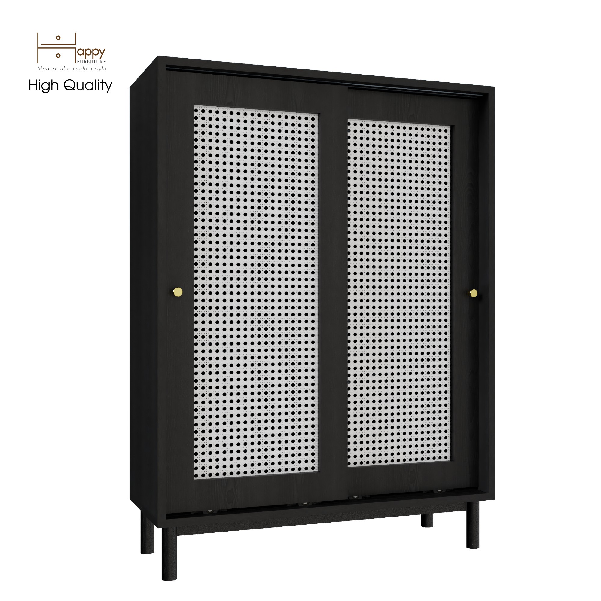 [Happy Home Furniture] ROTAN, Tủ đựng đồ 2 cánh lùa - chân sắt, 80cm x 34cm x 110cm ( DxRxC), TCL_030