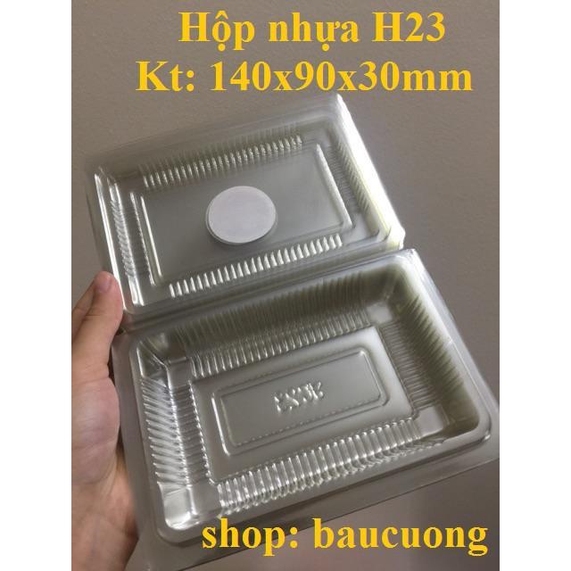 100 hộp nhựa PET trong H23