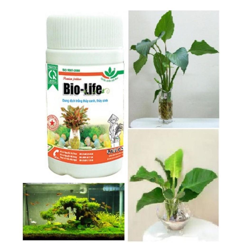 DUNG DỊCH TRỒNG THỦY CANH, THỦY SINH BIO-LIE