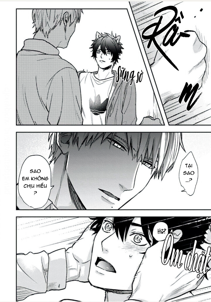 mật ngọt dã thú chapter 2 13