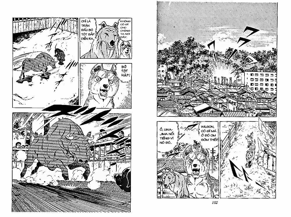 chú chó có nghĩa - ginga nagareboshi gin chapter 28 15