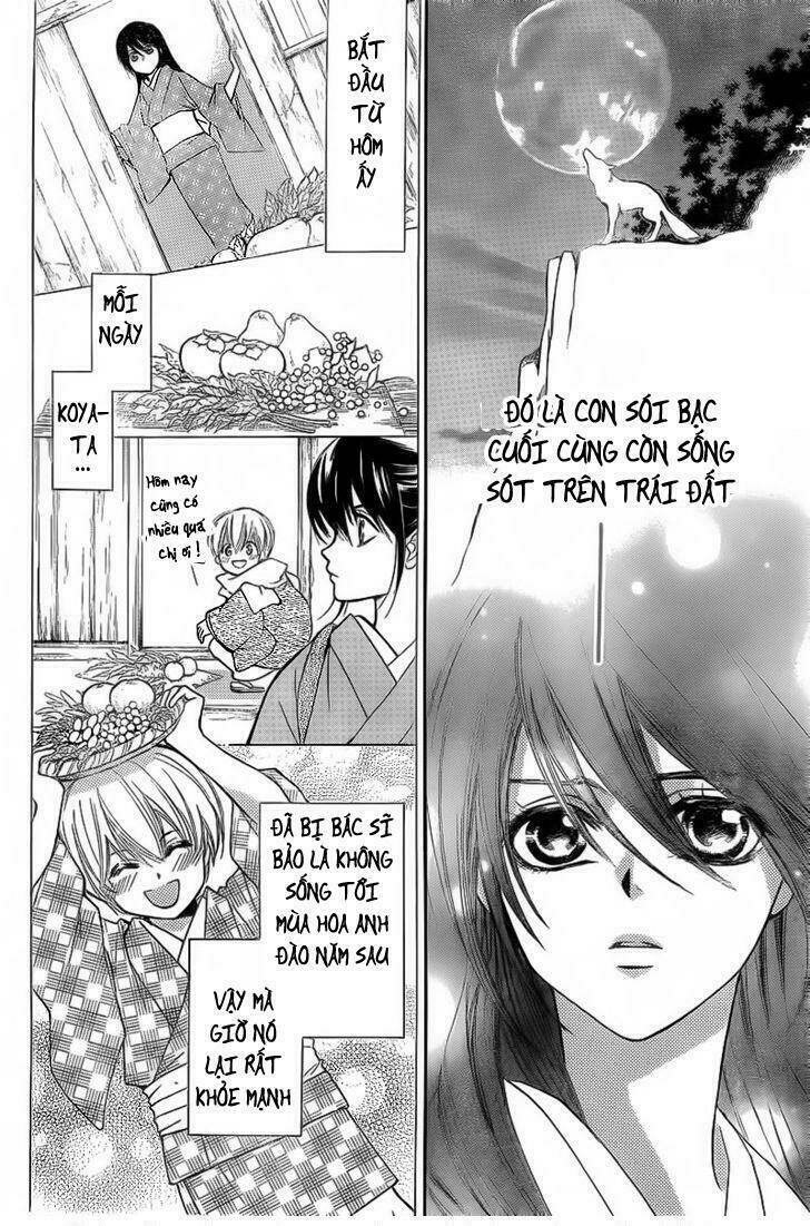 ginrou no sakura chapter 1 16