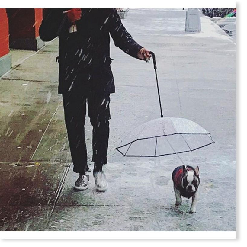 Dù che mưa che nắng cho BOSS Pet Umbrella Gia Dụng SG