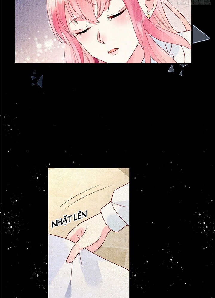 cô thỏ của chủ tịch sói chapter 2 15