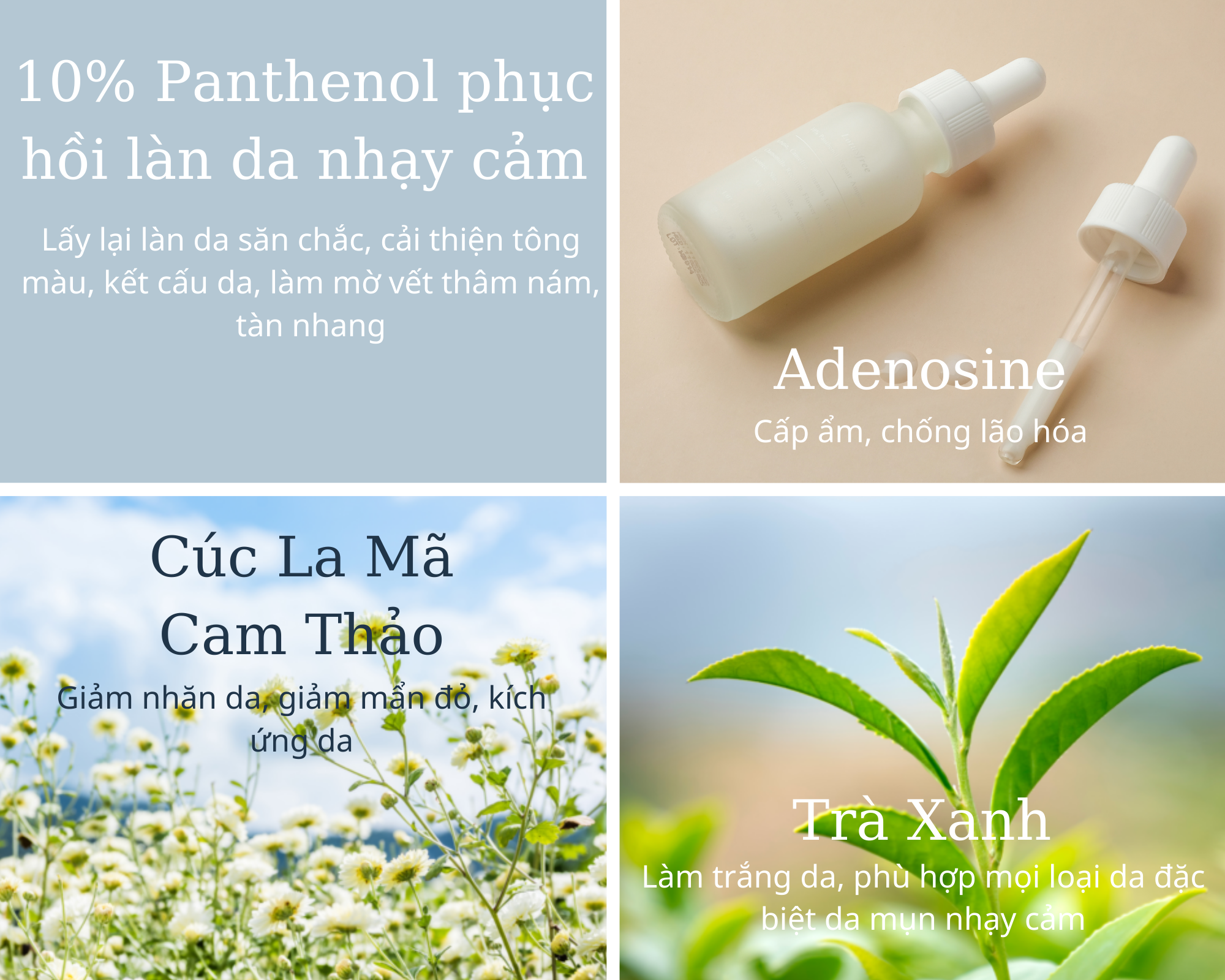 10% Panthenol Repair Ampoule 30 ml Sản phẩm dưỡng ẩm trắng da đều màu hỗ trợ phục hồi da chuyên sâu. Không gây kích ứng, phù hợp mọi loại da đặc biệt da đang khô ráp bong tróc kích ứng, da sạm mỏng yếu.