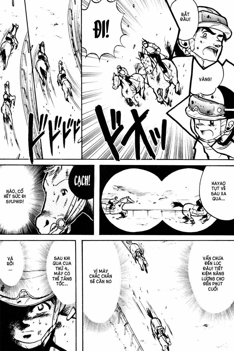 kaze no sylphid - phong mã silphid chapter 12 13