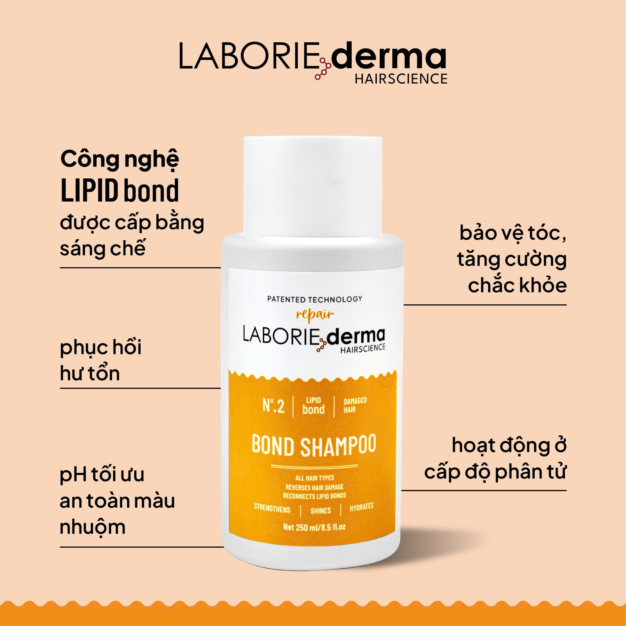 Dầu gội hỗ trợ phục hồi, tăng cường chắc khỏe tóc LABORIE derma Bond Shampoo 250ml