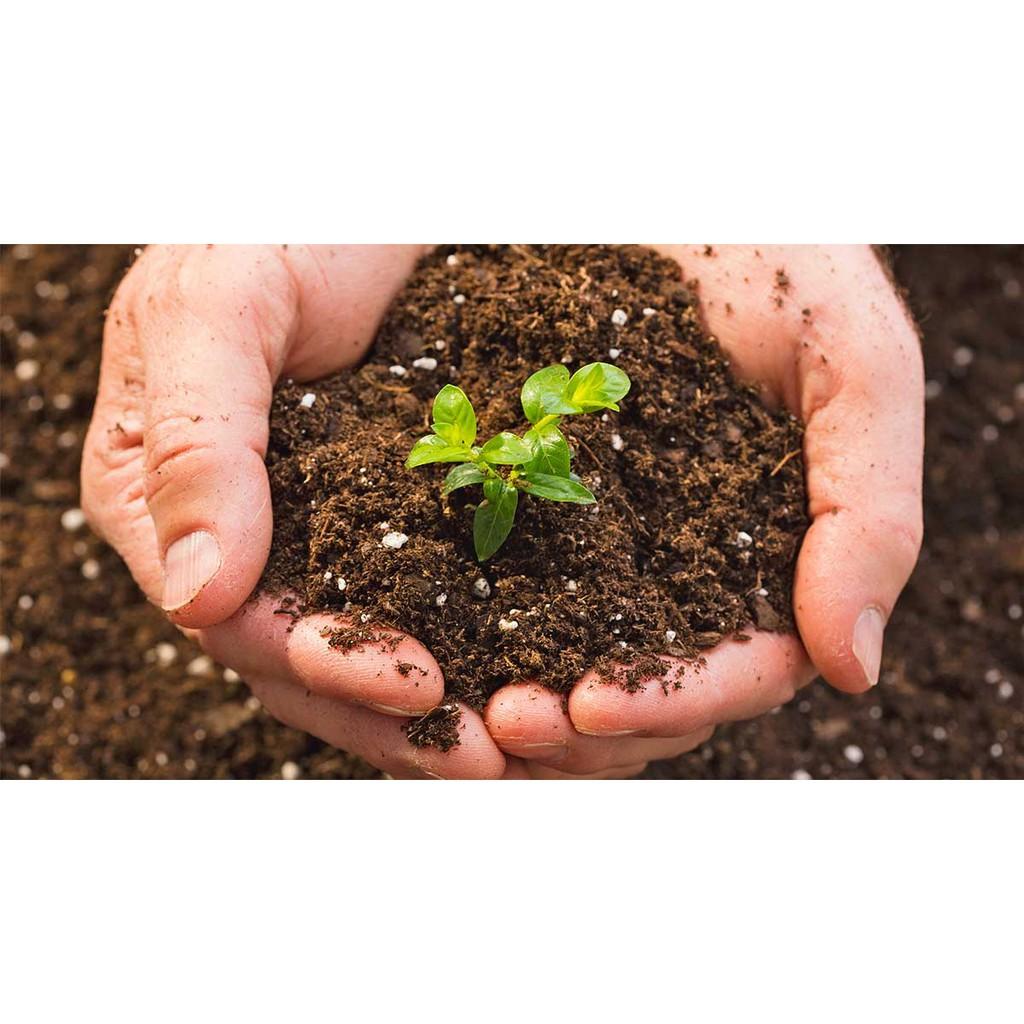 Phân bón hữu cơ Growbel của Bỉ gói 2kg Cung cấp đa trung vi lượng