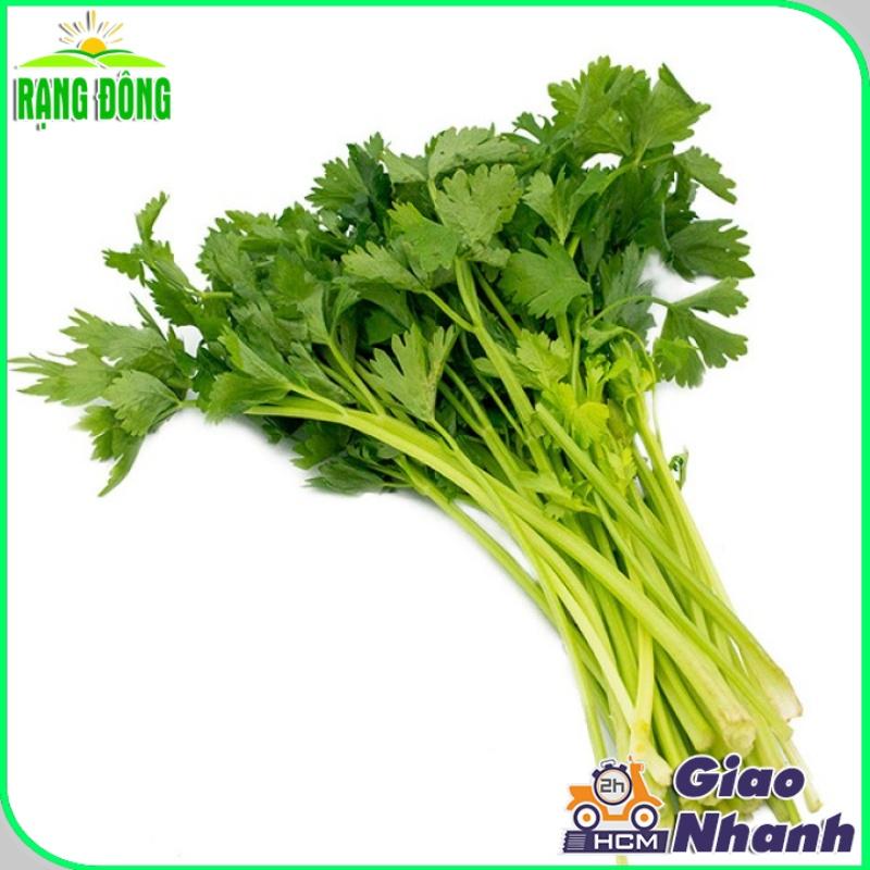 Hạt giống Cần Tây Thera (5g~7000 hạt) chiệu nhiệt tốt, nảy mầm đồng đều, năng suất cao - Hạt giống Rạng Đông